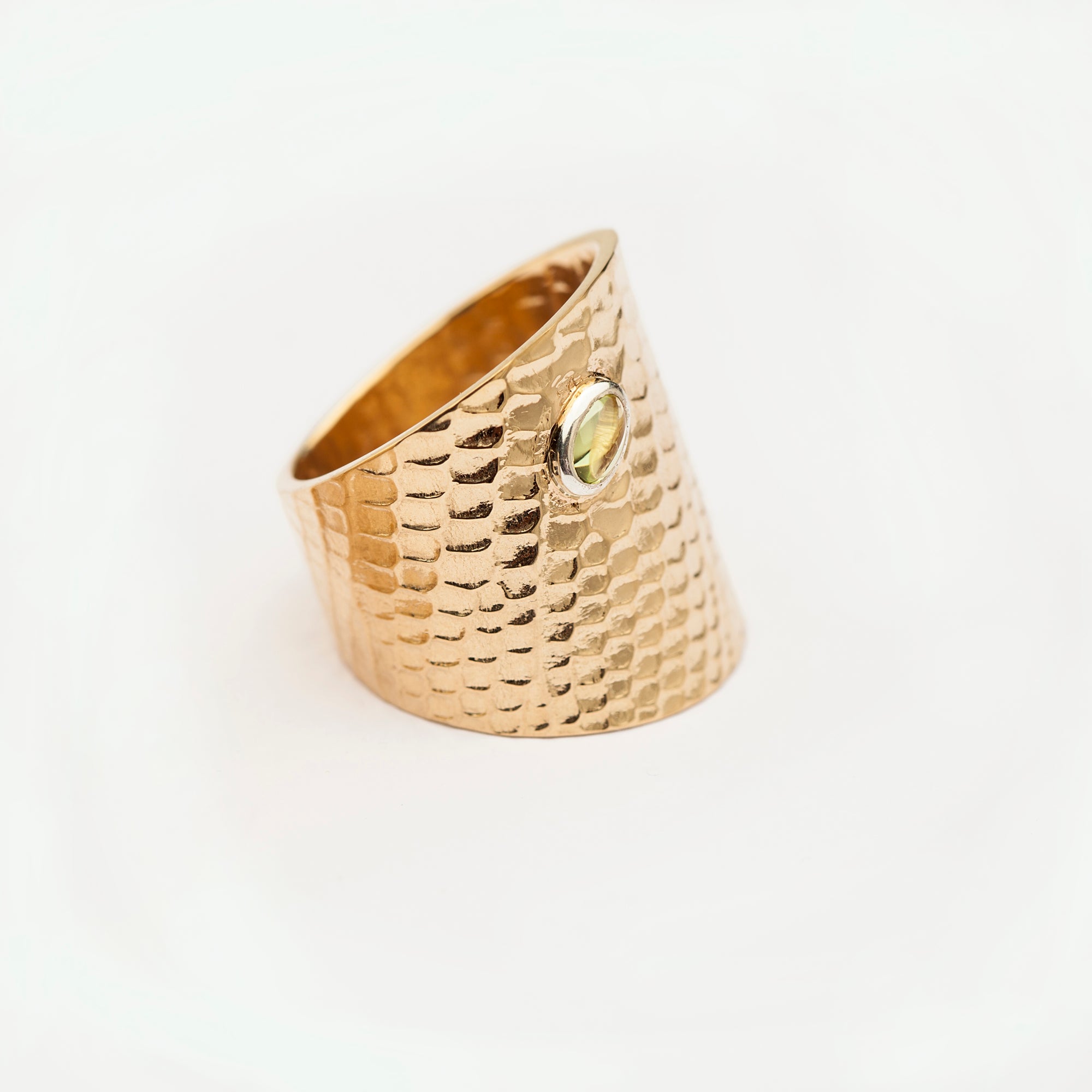 ring-reptilia-gold-lateral-view2.jpg
